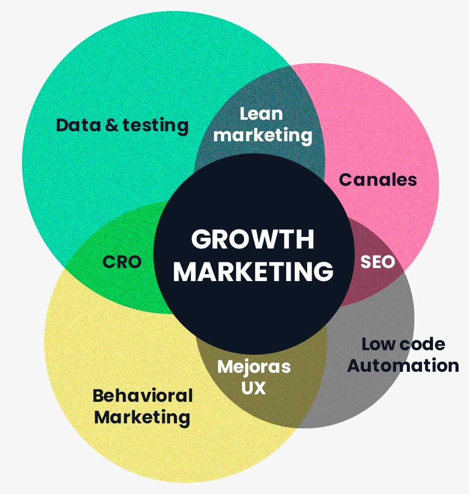 Fractional CMO - Growth marketing